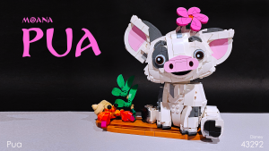 Pua